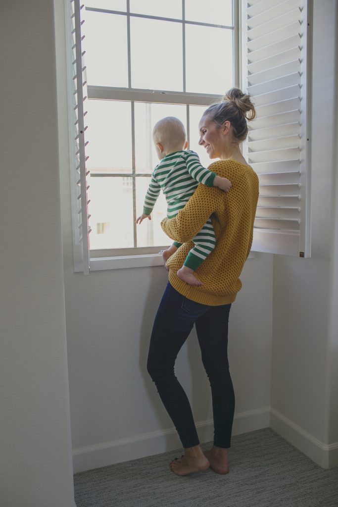 Merrick's Art Nursery Shutters