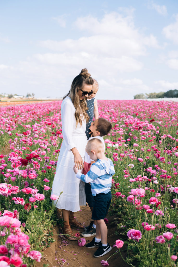 Merrick's Art | Carlsbad Flower Fields